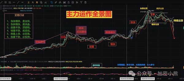 Circle上市首秀：当老实人在金融江湖闯出一片天