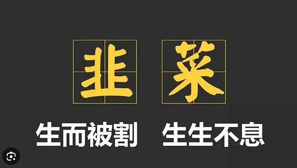 ChatGPT迎来重大变革：一周内三次突破性升级让AI变得更智能